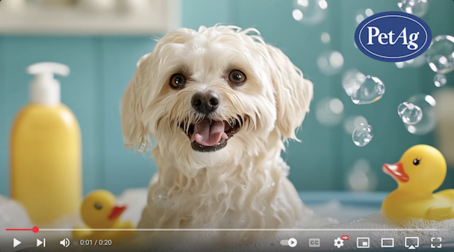 When a client hires a PR AOR, Advertising might be next: Pets